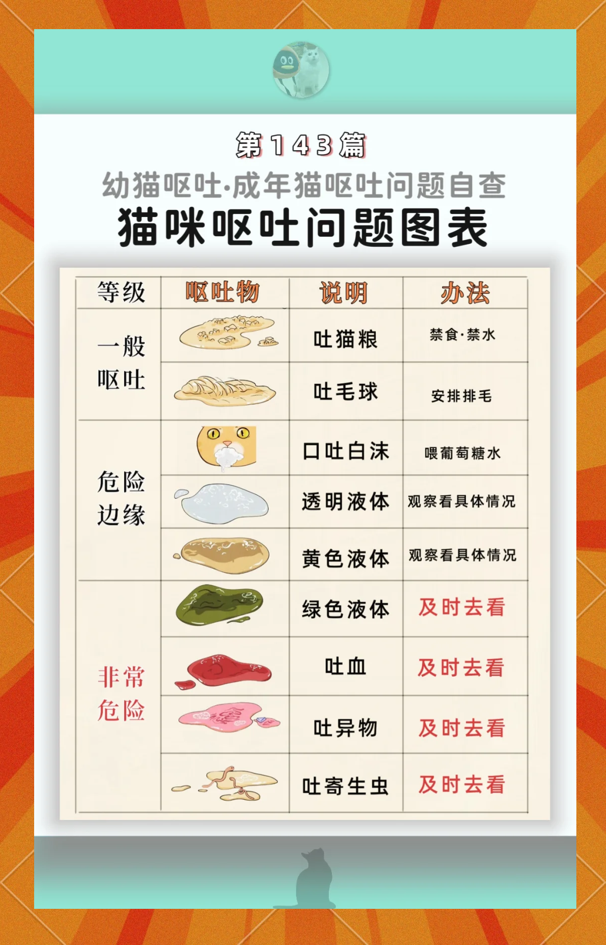 猫咪为什么吐黄水就死