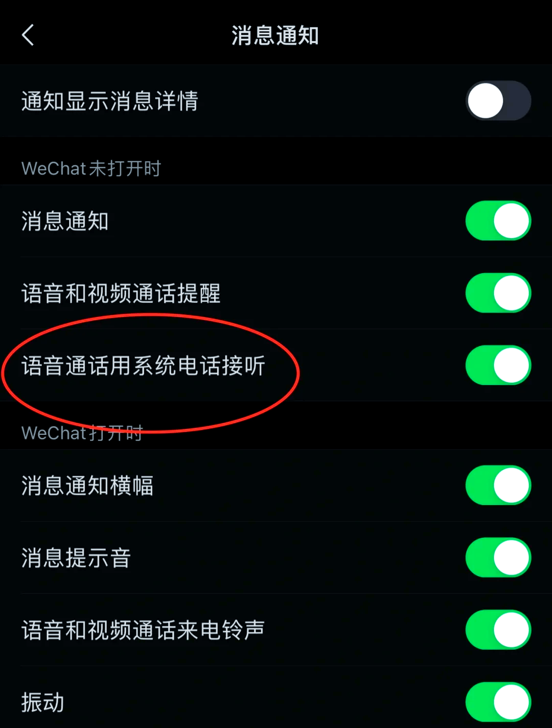 苹果可以连接电话机吗(iphone可以接电话录音吗)