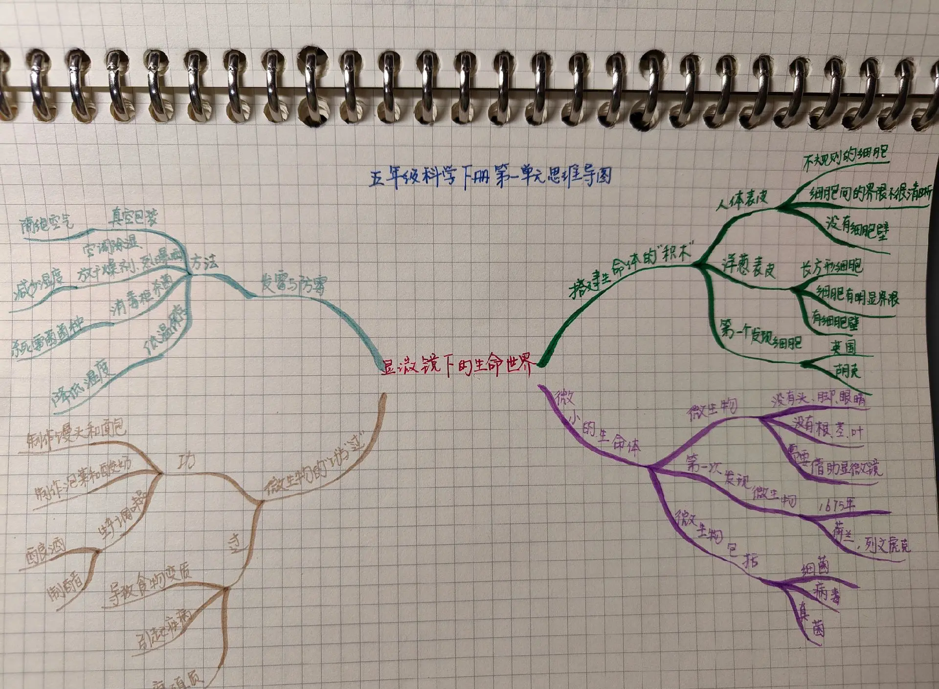 五年级物质科学思维导图(五年级物质科学思维导图上册)