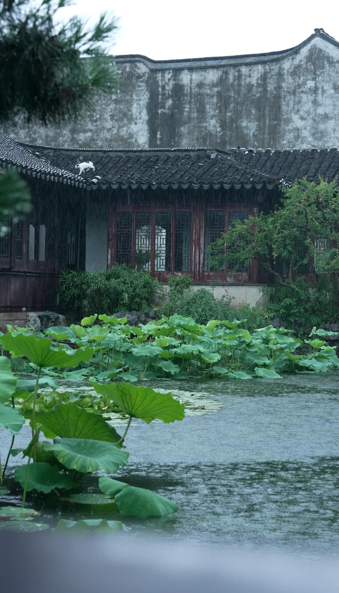 诗两首