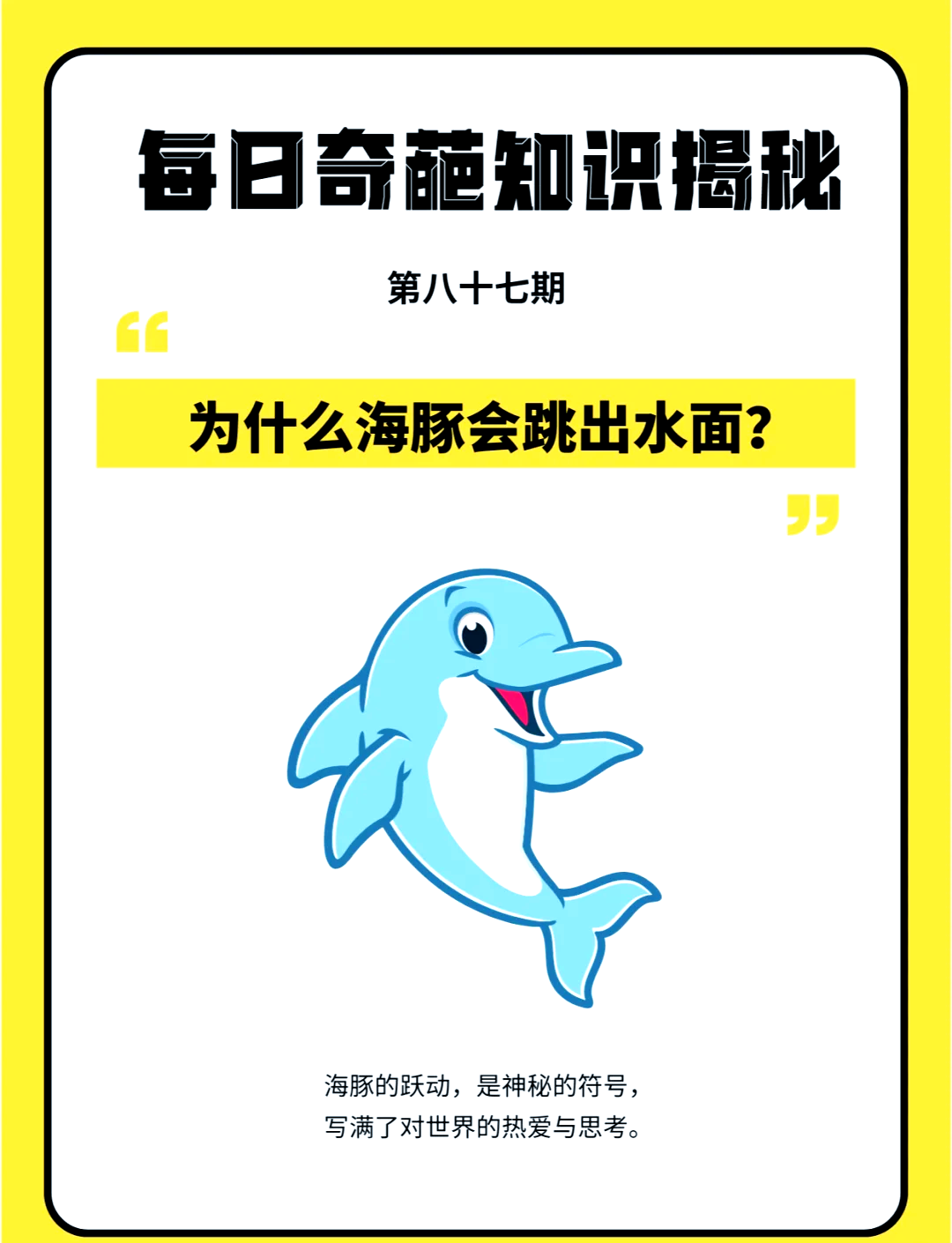 鲨鱼为什么不吃海豚