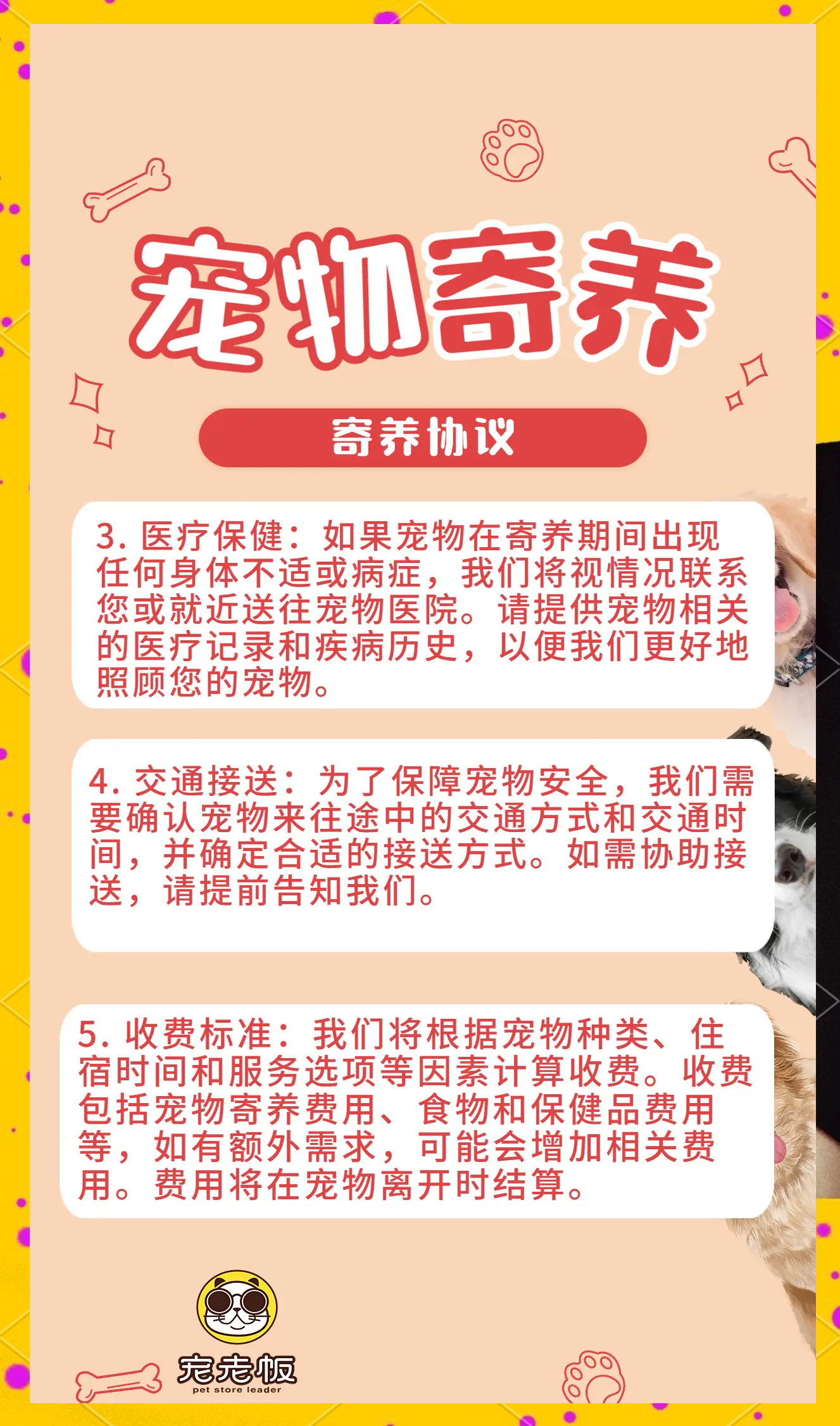 为什么要养宠物