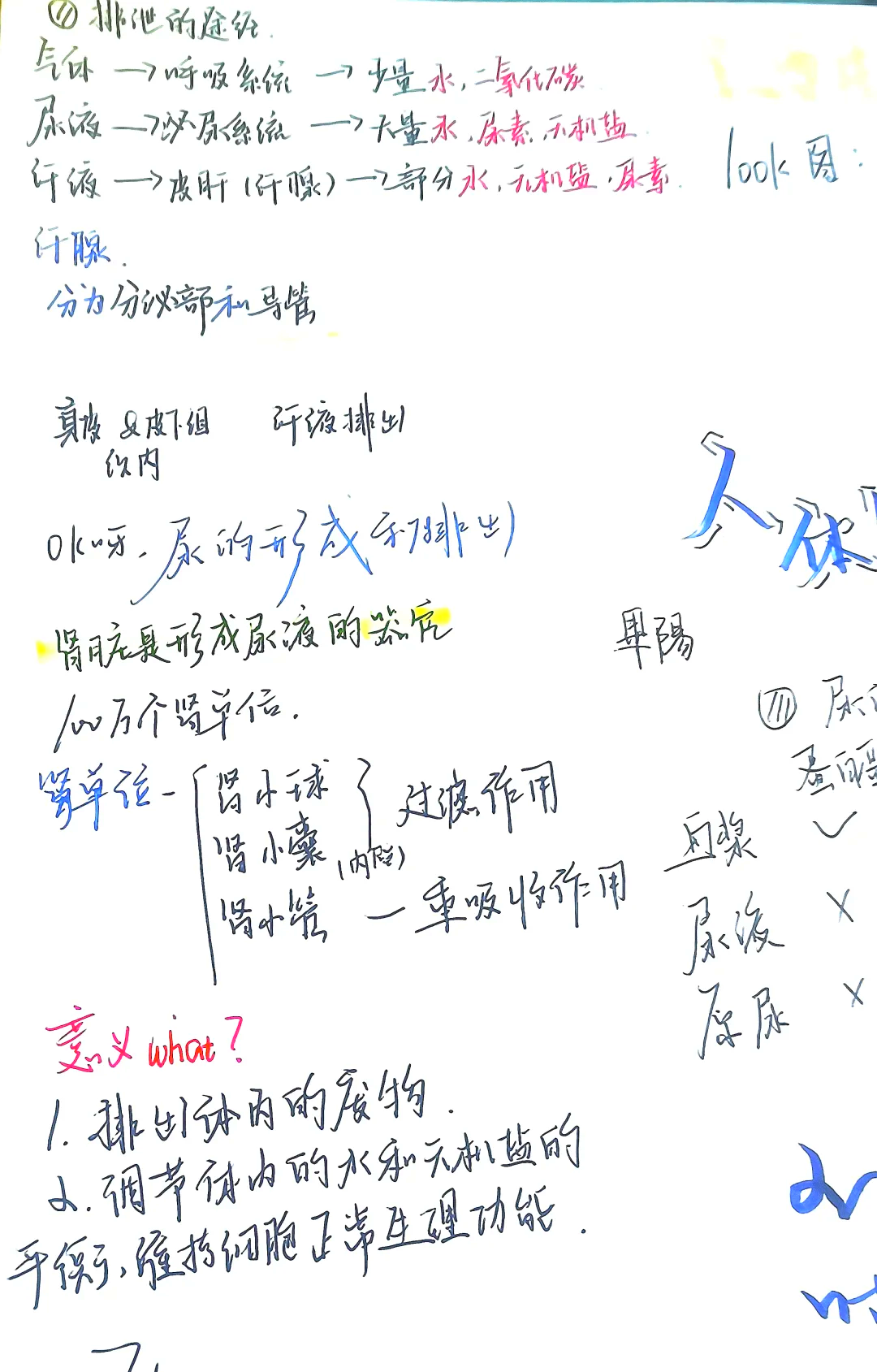 七下生物排泄
第2张 七下生物排泄
第2张