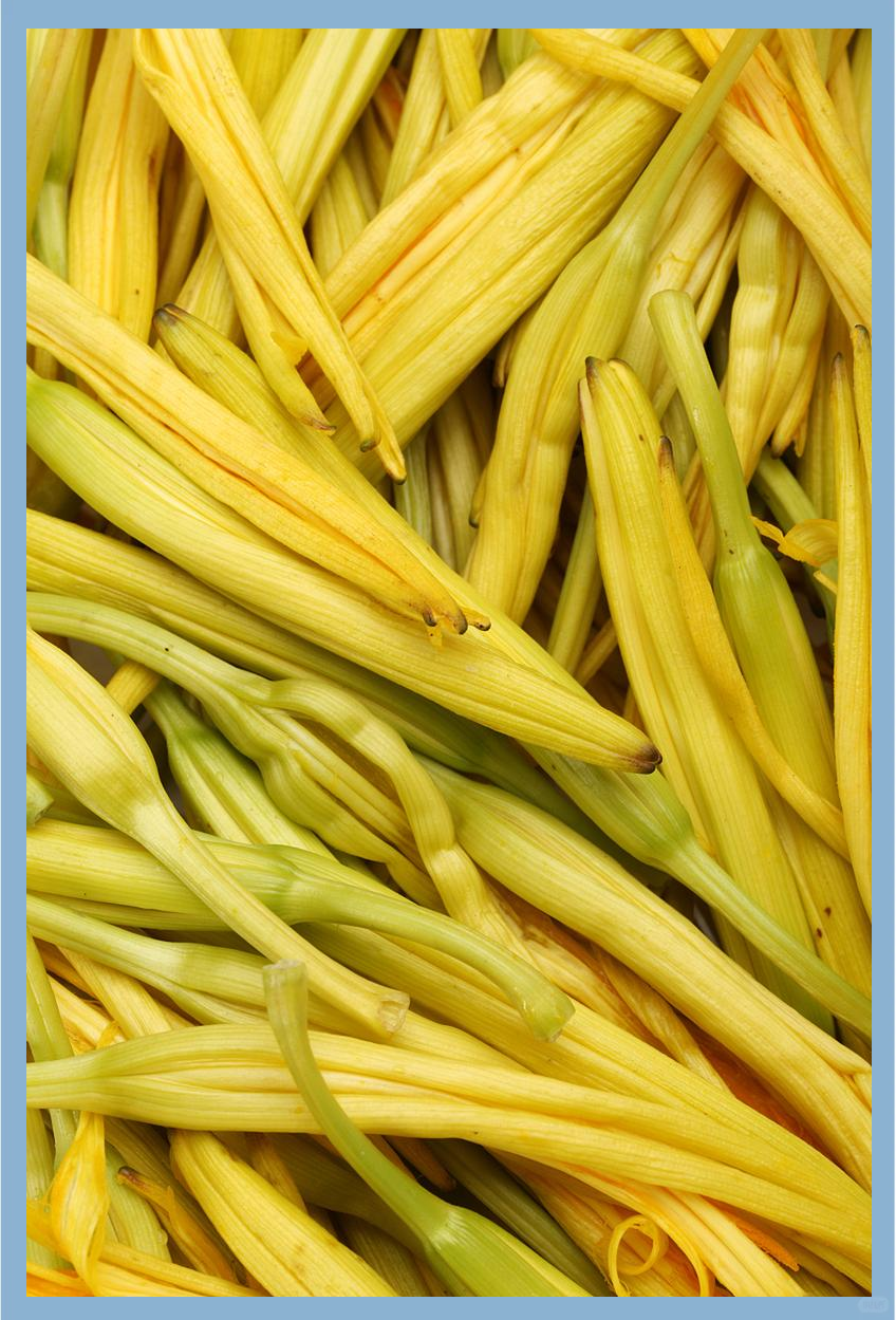 为什么说黄花菜都凉了 为什么说黄花菜都凉了