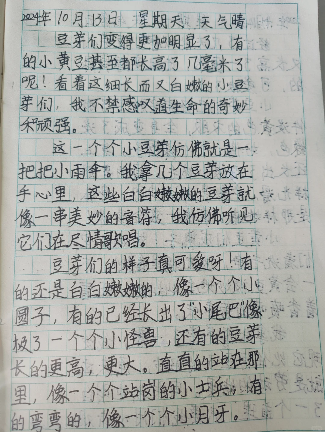 黄豆的观察日记四年级作文400字(黄豆的观察日记400字四年级优秀作文)