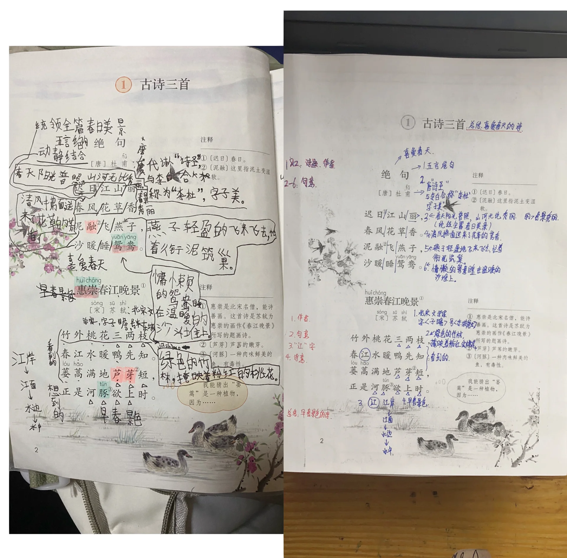 包含六年级数学笔记整理技巧（康奈尔法）的词条